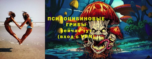 мдпв Ельня