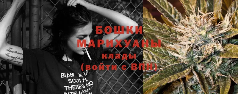 МАРИХУАНА OG Kush  продажа наркотиков  Клинцы 